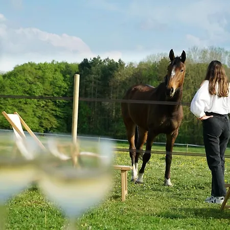 Tiny House Centre Equestre - 35 Mins De Paris Semesterbostad Chambly