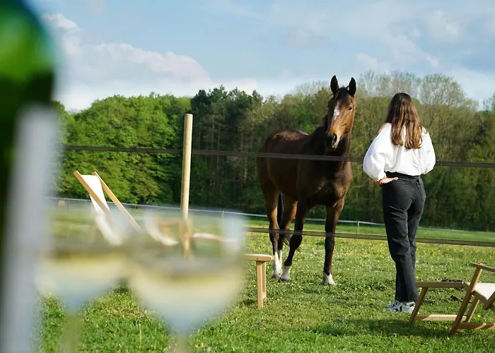 Tiny House Centre équestre - 35 Mins De Paris Hébergement de vacances Chambly